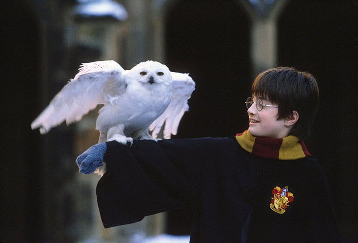 Harry Potter, Harry Potter and the Philosopher's Stone, Daniel Radcliffe