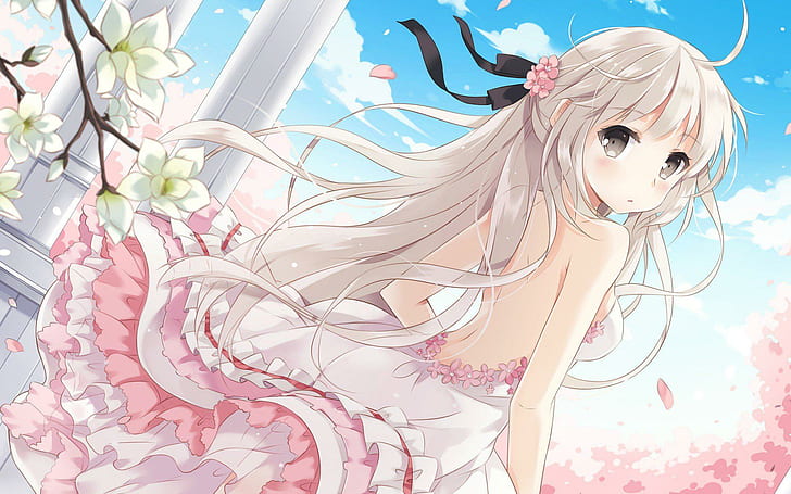 Hd Wallpaper Anime Girl Cute Spring Cherry Blossoms Acg