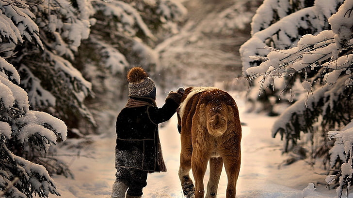 adult Saint Bernard, children, dog, snow, animals, cold temperature, HD wallpaper