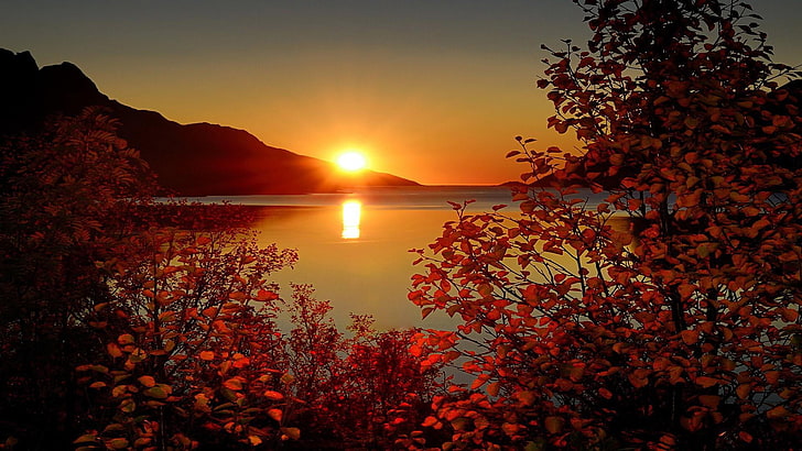 nature, red leaves, sky, ersfjordbotn, sun, sunset, autumn