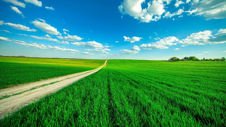 HD wallpaper: grass, agriculture, sky, fluffy, horizon, blue sky, cloud,  infinite | Wallpaper Flare