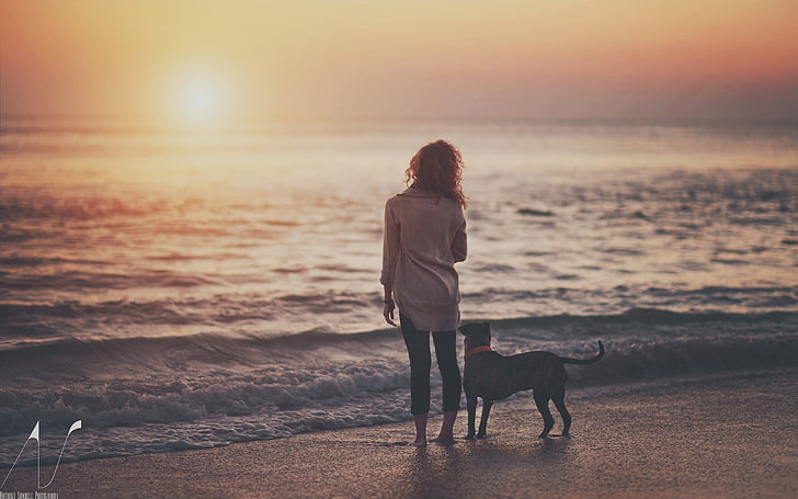 short-coated black dog, sea, sunset, beach, people, women outdoors