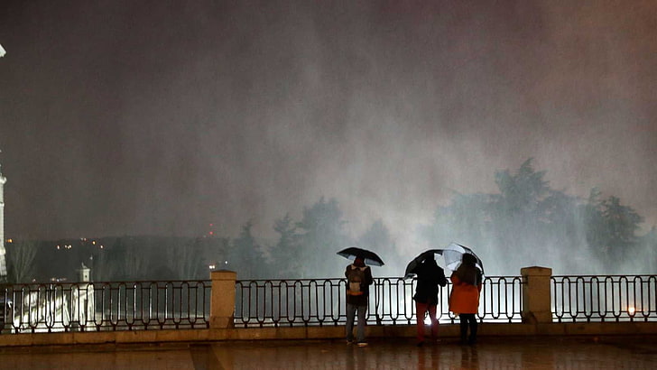 gente, lluvia, naturaleza, paraguas, tormenta, railing, full length