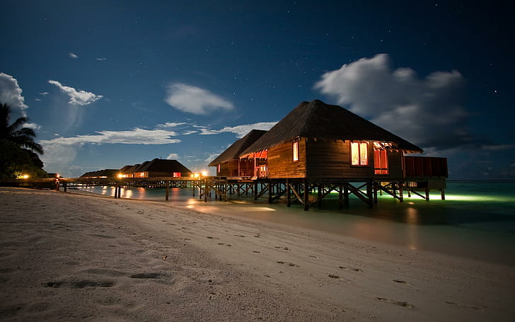A Night On The Beach, brown wooden beach houses, palms, tropical