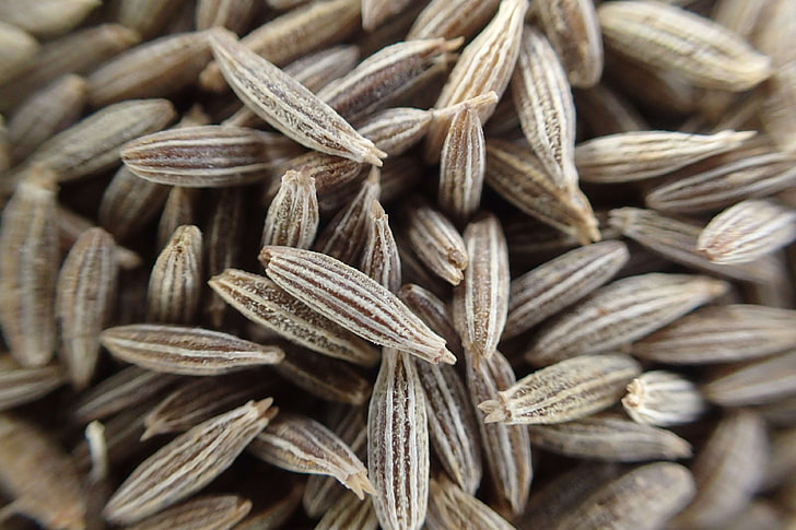 cumin, cumin seeds, spices, full frame, backgrounds, food, food and drink