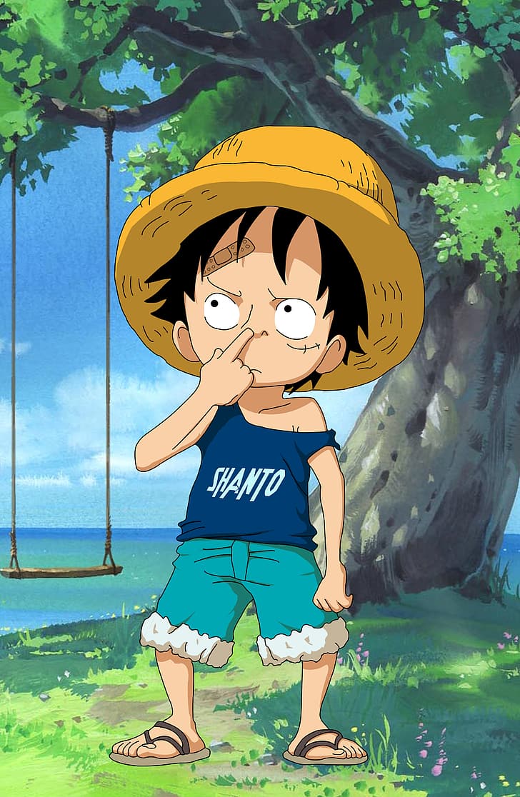 17+ One Piece Luffy Cool Pictures