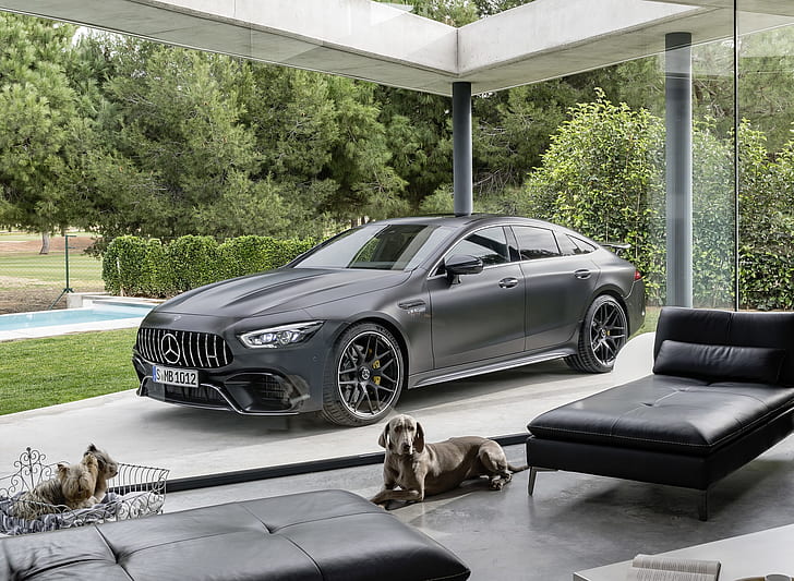 Mercedes-Benz, car, vehicle, luxury cars, Pets, dog, house, HD wallpaper