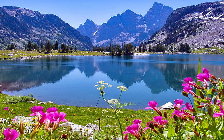Jenny Lake in Wyoming spring flowers rocky mountains Grand Teton National Park Hd Wallpapers 2560×1600, HD wallpaper