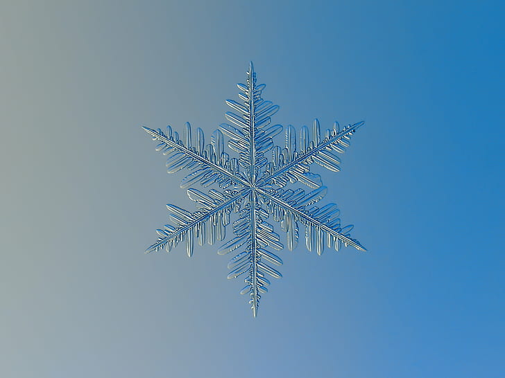 white snowflake, macro, winter is coming, photo, snow  crystal, HD wallpaper