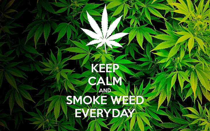 Free Weed Wallpaper Downloads 200 Weed Wallpapers for FREE  Wallpapers com