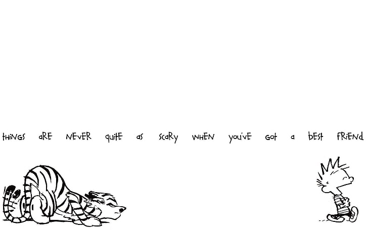 white background with text overlay, Calvin and Hobbes, quote