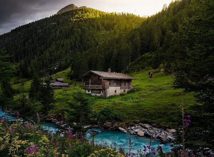 Nature, Landscape, River, Cottage, Forest, Alps, Wildflowers, Austria, Mountain, Sunrise, Spring, Green