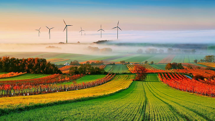 Nature, Landscape, Trees, Clouds, Field, Mist, Hill, House, Vineyard, Wind Turbine, HD wallpaper