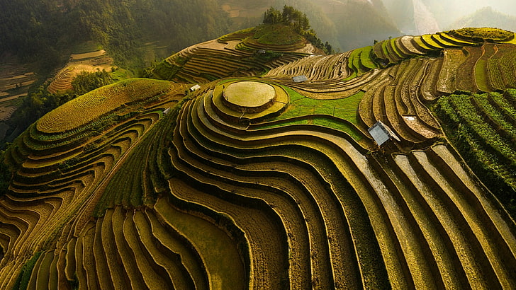 landscape, mu cang chai, terrace, rice terraces, agriculture, HD wallpaper