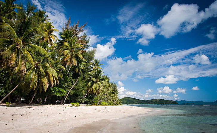 beach, palm trees, sea, clouds, sand, tropical, summer, vacation, HD wallpaper