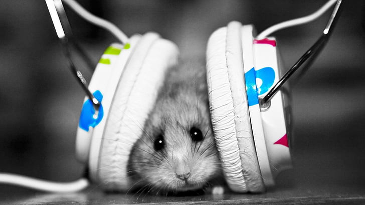 Mouse with Headphones HD, audio, black and white, blue, green, HD wallpaper