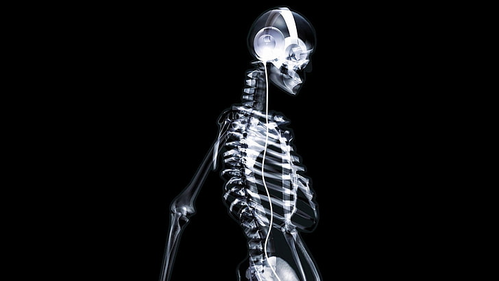 silver headphones, skeleton, bone, sillhouette, light, human Bone, HD wallpaper