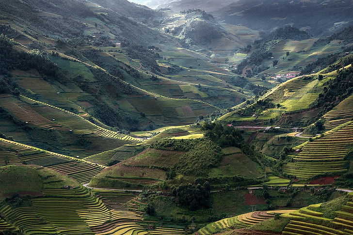 nature, village, mountains, terraces, Vietnam, rice paddy, green, HD wallpaper