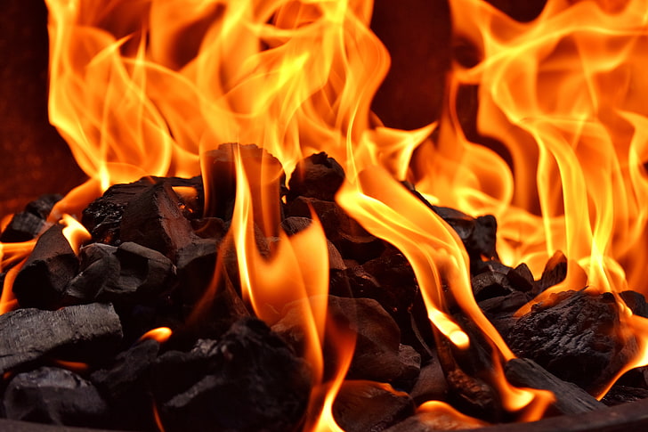 burning charcoals, bonfire, flame, fire - Natural Phenomenon, HD wallpaper