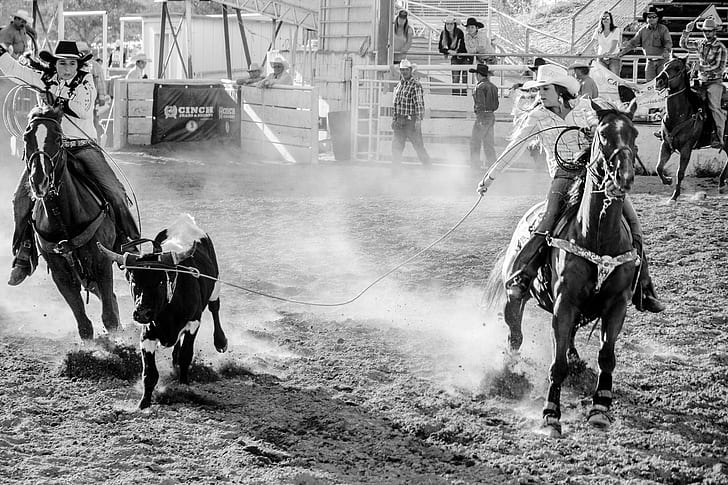 two cowboys riding on brown horses, Calf Roping, Girls, beautiful, HD wallpaper