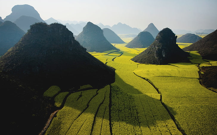 black hills, landscape, Rapeseed, nature, China, mist, sunlight, HD wallpaper