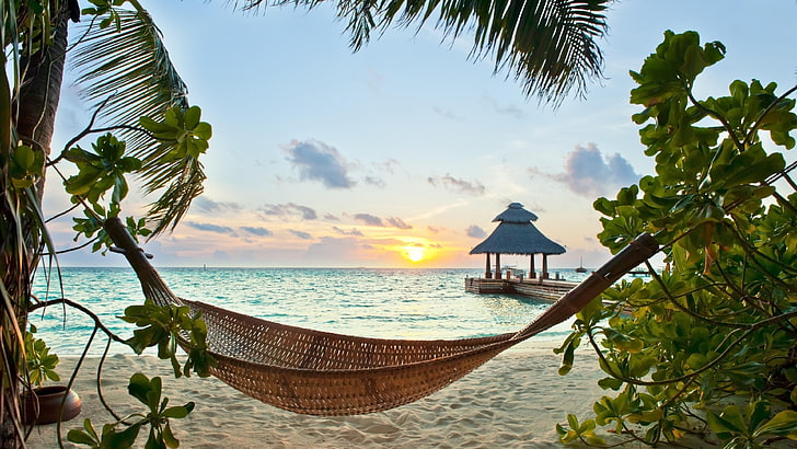 tropics, sky, resort, sea, hammock, palm tree, caribbean, vacation, HD wallpaper