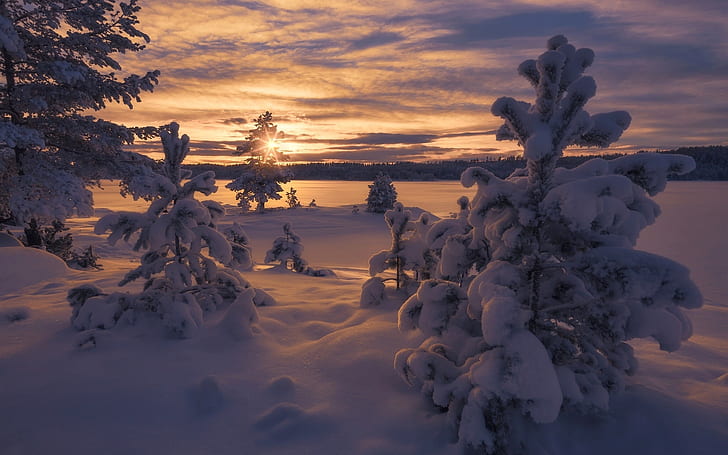Norway, winter, thick snow, trees, sunset