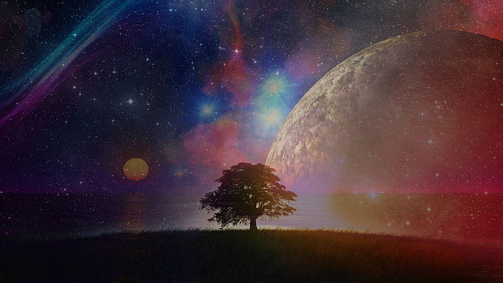 tree and galaxy illustration, nebula, star - space, astronomy