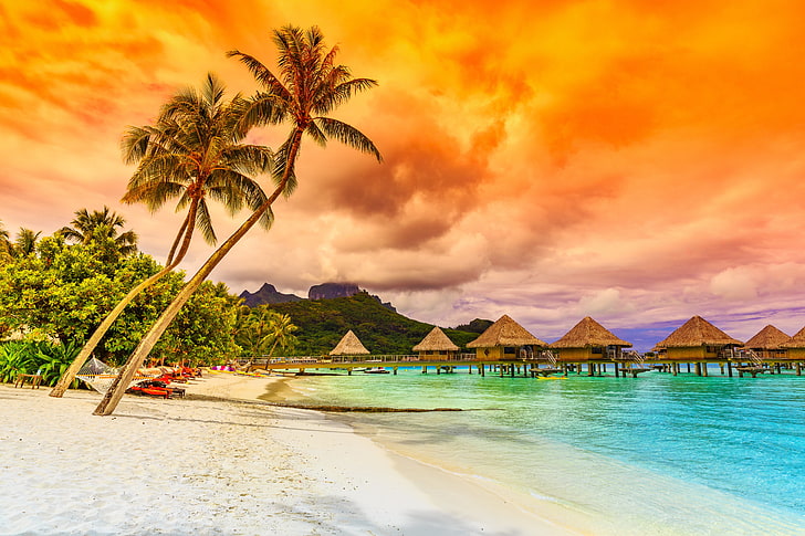 coconut trees, sand, sea, beach, sunset, palm trees, shore, paradise, HD wallpaper