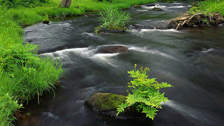 nature, water, landscape, river, HD wallpaper