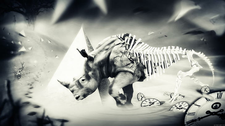 Skeletal rhino running, gray scale photo of rhino turning to skeleton near pyramid