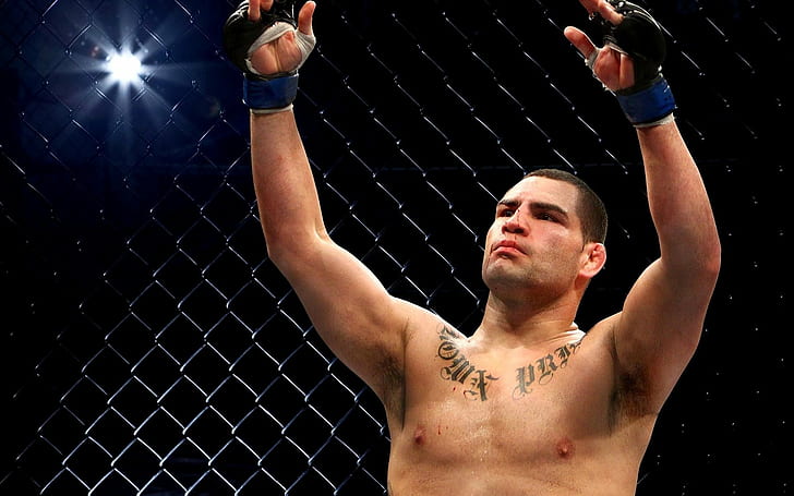 Sports, Mixed Martial Arts, Cain Velasquez, MMA, Ultimate Fighting Championship