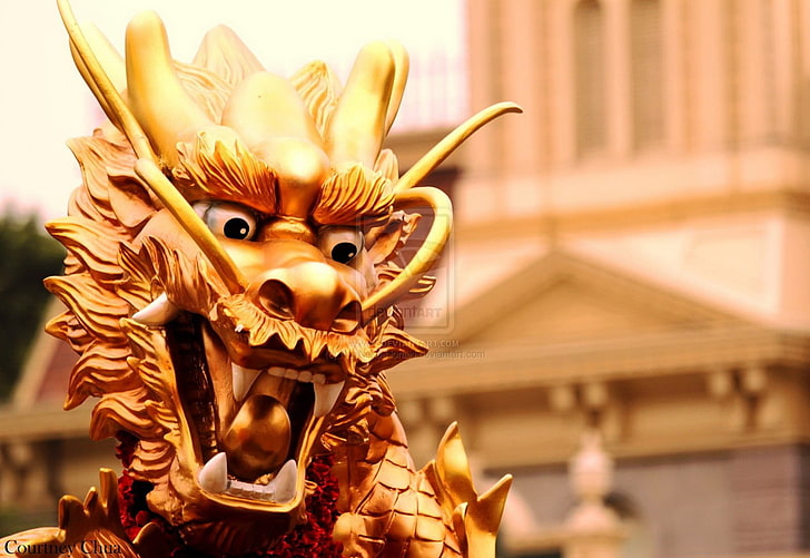 gold-colored dragon statue, chinese dragon, culture, art and craft