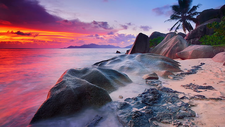 boulder beside coconut tree during daytime, beach, sunset, sea, HD wallpaper