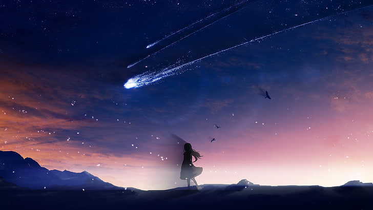 Hd Wallpaper Anime Girl Falling Stars Scenic Birds Sky