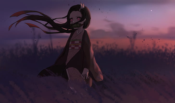 Anime, Demon Slayer: Kimetsu no Yaiba, Nezuko Kamado