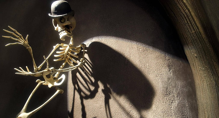 brown human skeleton, Halloween, hat, sunlight, Corpse Bride, HD wallpaper