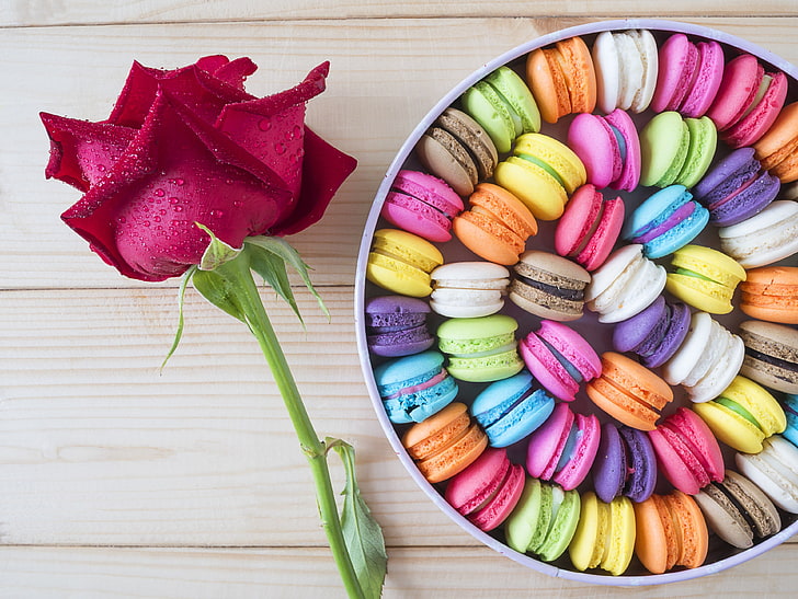macaron 4k hd pic, multi colored, table, still life, indoors, HD wallpaper