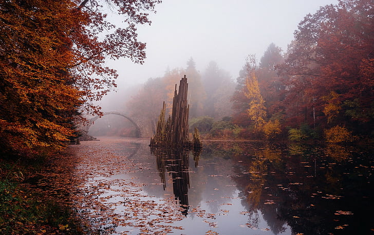 landscape, river, bridge, mist, fall, fallen leaves, red leaves, HD wallpaper