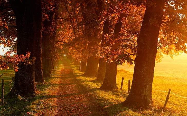 Autumn Landscape Scenery, nature, HD wallpaper