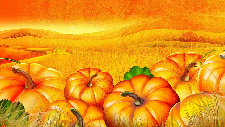 Pumpkin Patch Halloween Autumn Desktop Photo, illustration of pumpkins, HD wallpaper