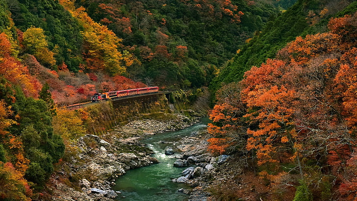 red train, river surrounded by trees at daytime, nature, landscape