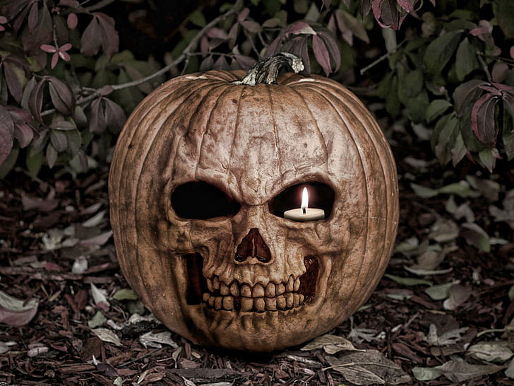 Scary Pumpkin Halloween, brown skull jack-o-lantern, holiday halloween, HD wallpaper