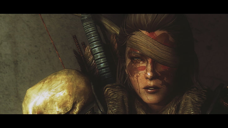 female warrior illustration, The Elder Scrolls V: Skyrim, blood, HD wallpaper