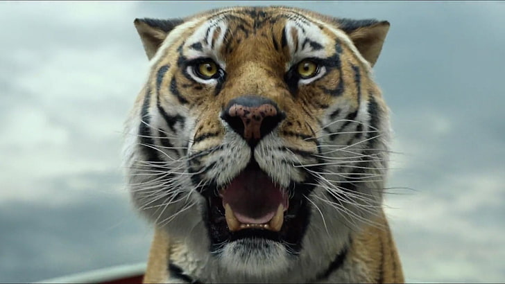 Movie, Life of Pi, Tiger