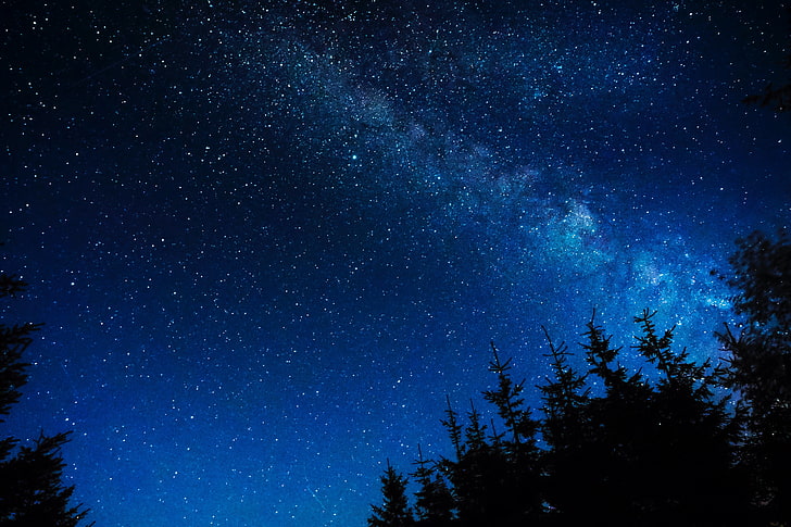 night sky, starry sky, stars, glitter, trees, astronomy, star - Space