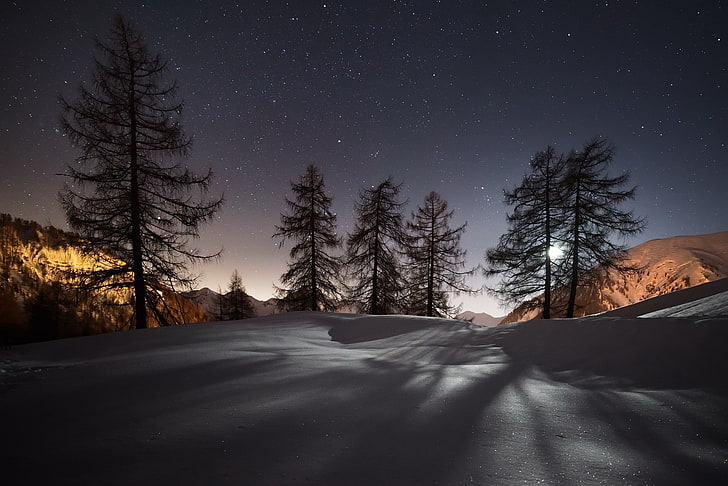 landscape, night, sky, stars, winter, cold, snow, trees, nature, HD wallpaper