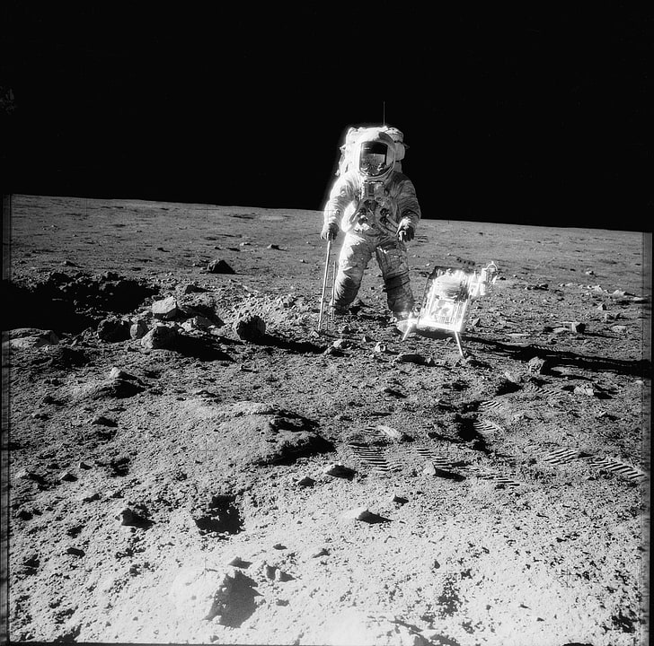 white and black concrete surface, Moon, Apollo, astronaut, one animal