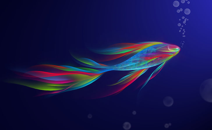 Colorful Betta Fish, multicolored fish clip art, Artistic, Abstract, HD wallpaper