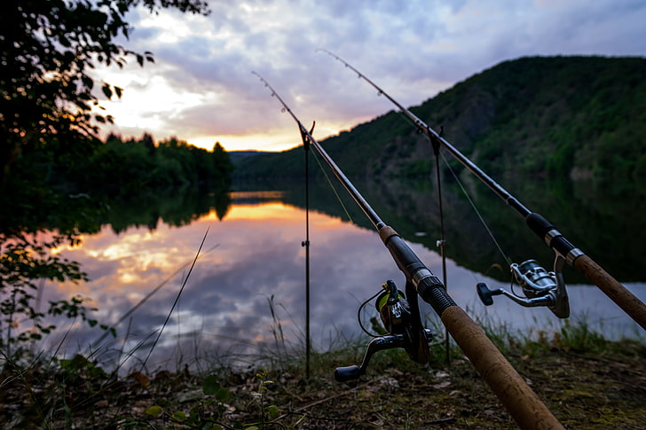 two brown-and-gray fishing rods, summer, landscape, blur, bokeh
